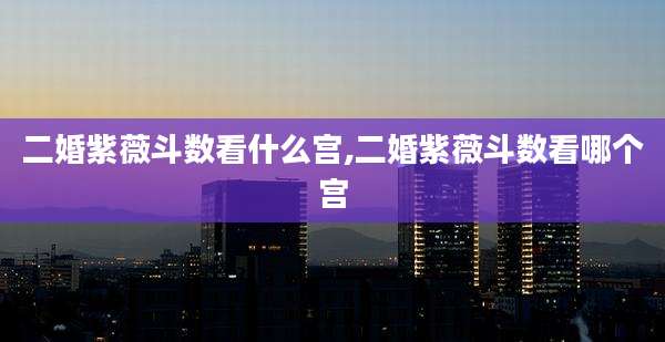二婚紫薇斗数看什么宫,二婚紫薇斗数看哪个宫