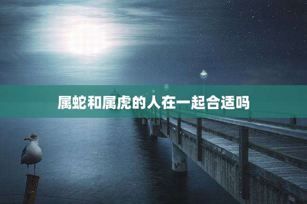 属蛇和属虎的人在一起合适吗