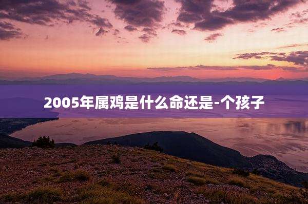 2005年属鸡是什么命还是-个孩子