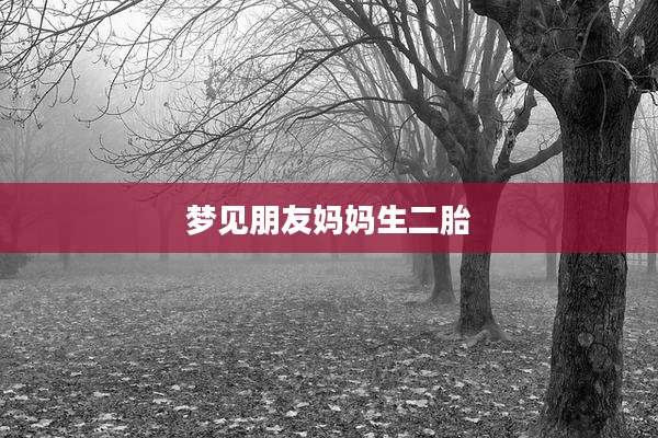 梦见朋友妈妈生二胎
