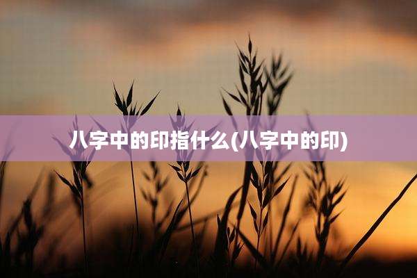 八字中的印指什么(八字中的印)