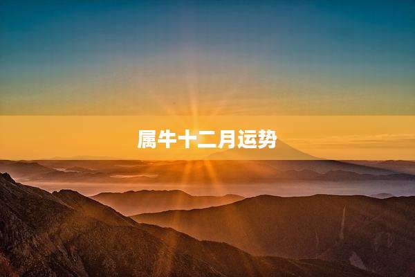 属牛十二月运势
