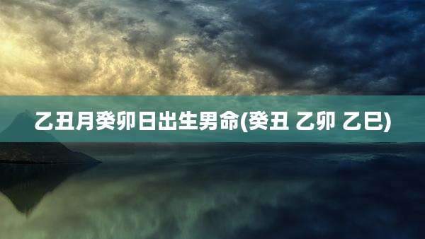 乙丑月癸卯日出生男命(癸丑 乙卯 乙巳)