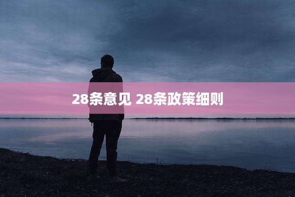 28条意见 28条政策细则
