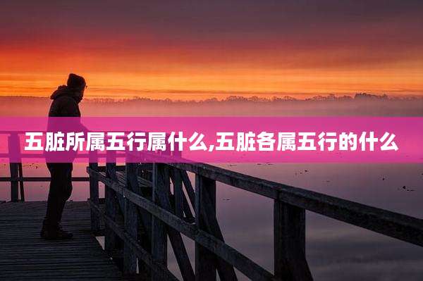 五脏所属五行属什么,五脏各属五行的什么