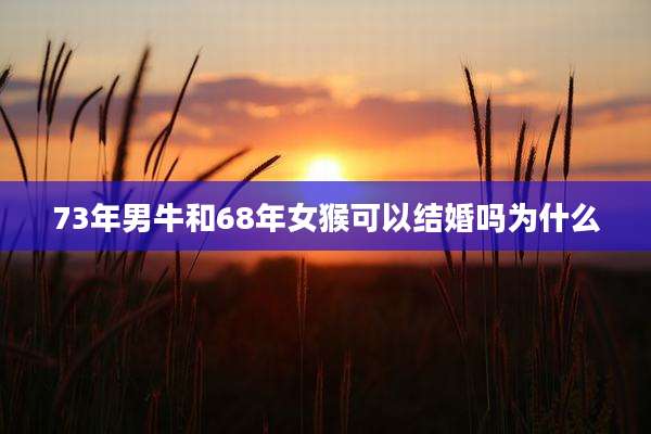 73年男牛和68年女猴可以结婚吗为什么