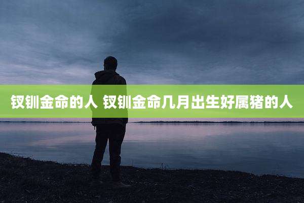 钗钏金命的人 钗钏金命几月出生好属猪的人