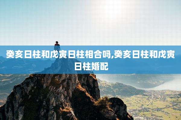 癸亥日柱和戊寅日柱相合吗,癸亥日柱和戊寅日柱婚配