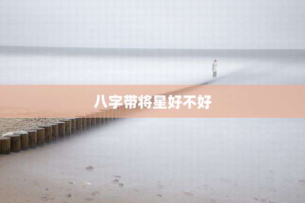 八字带将星好不好