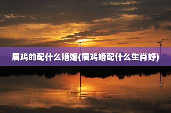 属鸡的配什么婚姻(属鸡婚配什么生肖好)
