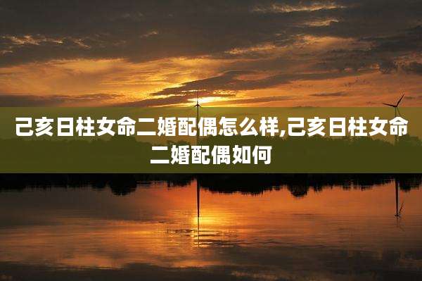 己亥日柱女命二婚配偶怎么样,己亥日柱女命二婚配偶如何