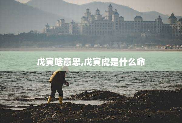 戊寅啥意思,戊寅虎是什么命