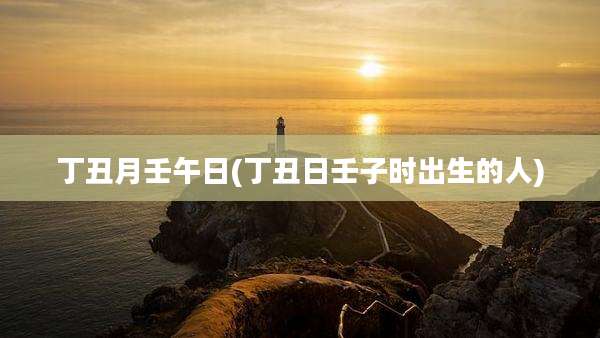 丁丑月壬午日(丁丑日壬子时出生的人)