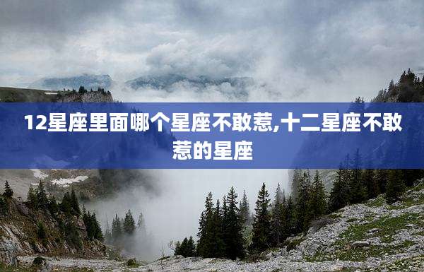 12星座里面哪个星座不敢惹,十二星座不敢惹的星座