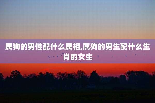 属狗的男性配什么属相,属狗的男生配什么生肖的女生