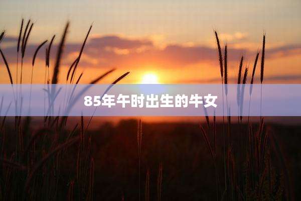 85年午时出生的牛女