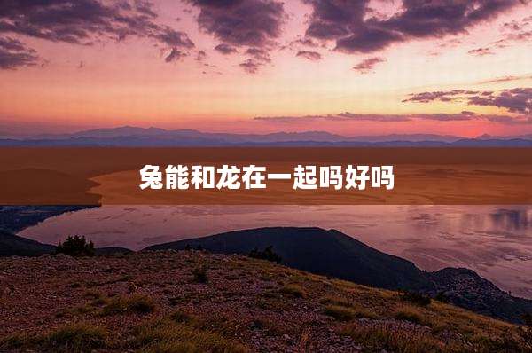 兔能和龙在一起吗好吗