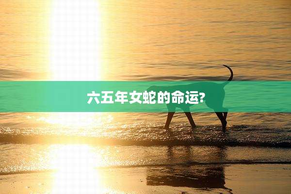 六五年女蛇的命运?