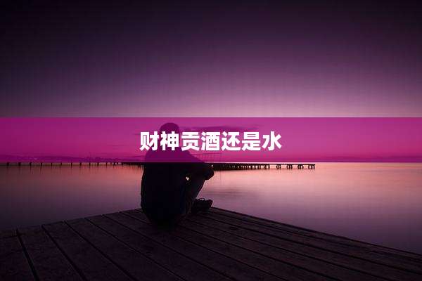 财神贡酒还是水