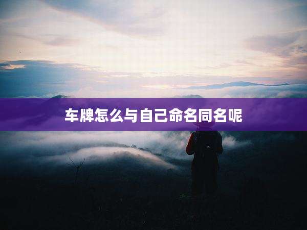 车牌怎么与自己命名同名呢