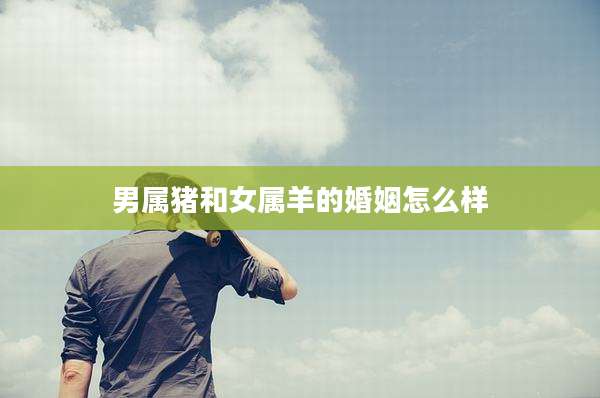 男属猪和女属羊的婚姻怎么样