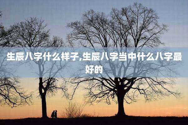 生辰八字什么样子,生辰八字当中什么八字最好的