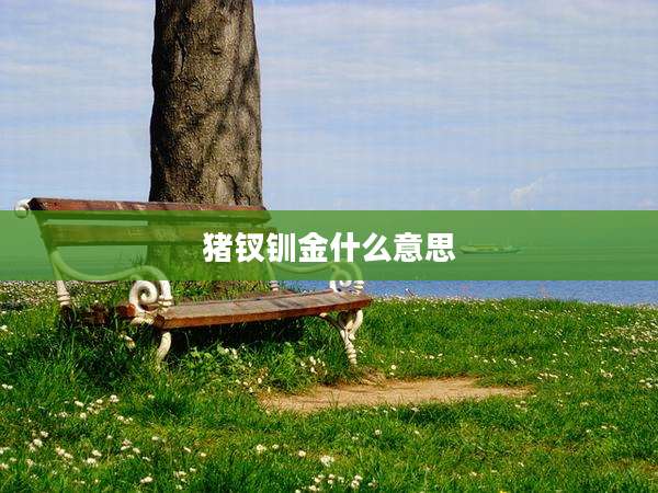 猪钗钏金什么意思