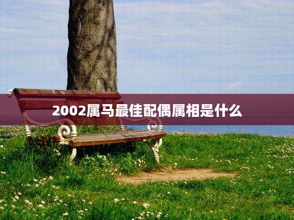 2002属马最佳配偶属相是什么