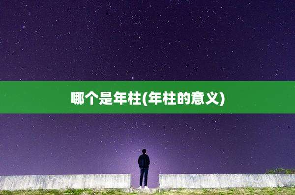哪个是年柱(年柱的意义)