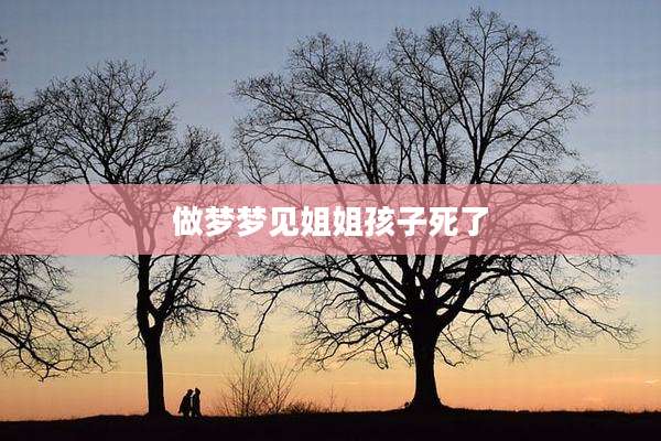 做梦梦见姐姐孩子死了