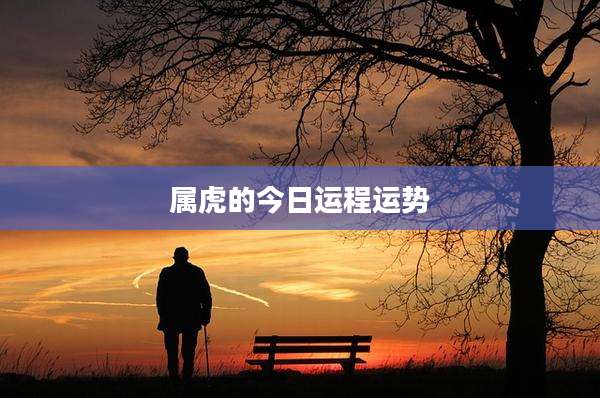 属虎的今日运程运势