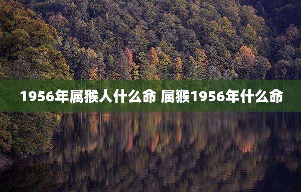 1956年属猴人什么命 属猴1956年什么命