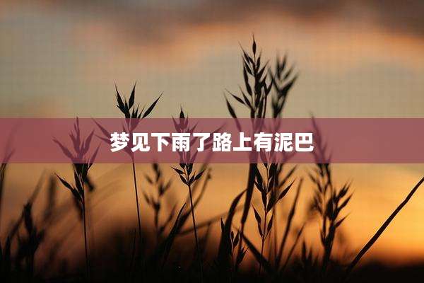 梦见下雨了路上有泥巴