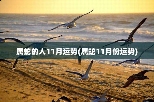属蛇的人11月运势(属蛇11月份运势)