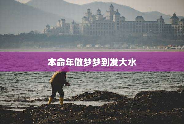 本命年做梦梦到发大水