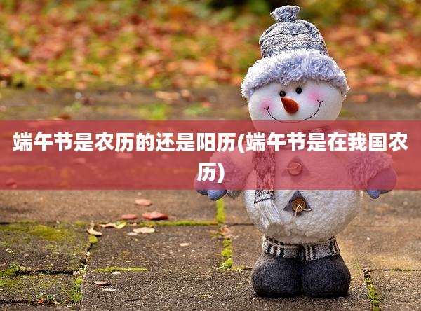 端午节是农历的还是阳历(端午节是在我国农历)