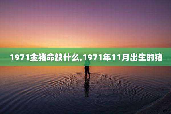 1971金猪命缺什么,1971年11月出生的猪