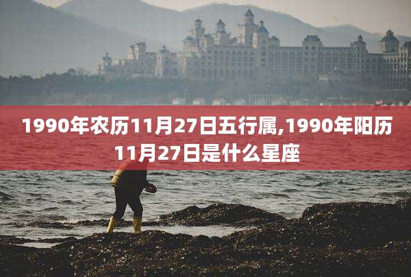 1990年农历11月27日五行属,1990年阳历11月27日是什么星座