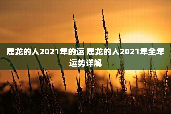 属龙的人2021年的运 属龙的人2021年全年运势详解
