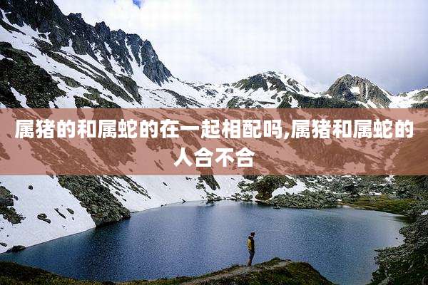 属猪的和属蛇的在一起相配吗,属猪和属蛇的人合不合