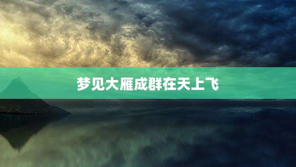 梦见大雁成群在天上飞