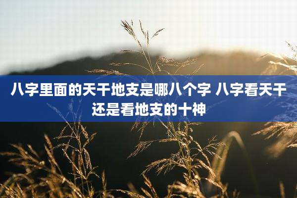 八字里面的天干地支是哪八个字 八字看天干还是看地支的十神