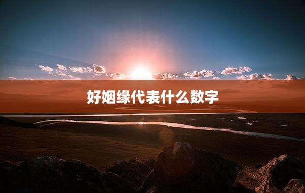 好姻缘代表什么数字