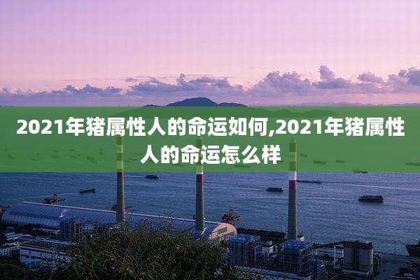 2021年猪属性人的命运如何,2021年猪属性人的命运怎么样