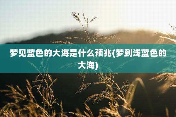 梦见蓝色的大海是什么预兆(梦到浅蓝色的大海)