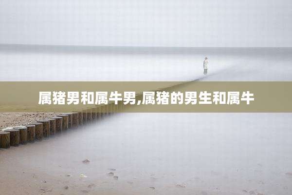 属猪男和属牛男,属猪的男生和属牛
