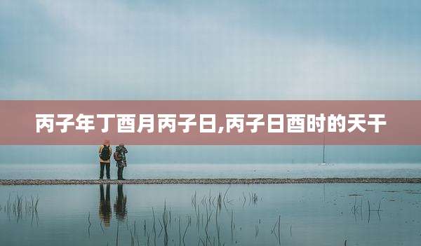 丙子年丁酉月丙子日,丙子日酉时的天干