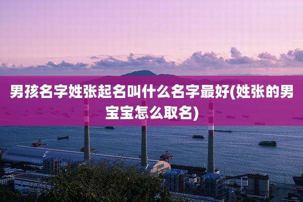 男孩名字姓张起名叫什么名字最好(姓张的男宝宝怎么取名)