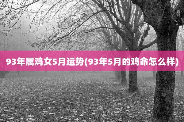 93年属鸡女5月运势(93年5月的鸡命怎么样)