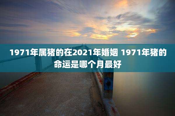 1971年属猪的在2021年婚姻 1971年猪的命运是哪个月最好